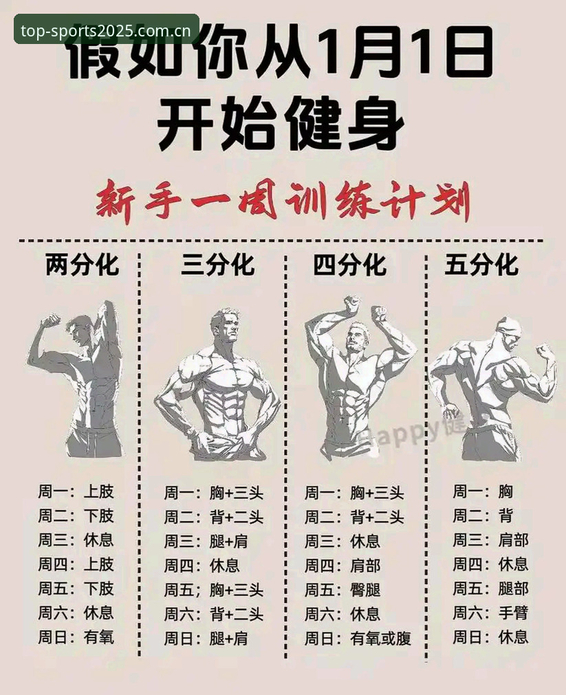 完美体育使用教程 如何通过完美体育使用教程轻松上手2025新版?用户吴明亲测分享